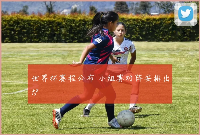 世界杯赛程公布 小组赛对阵安排出炉