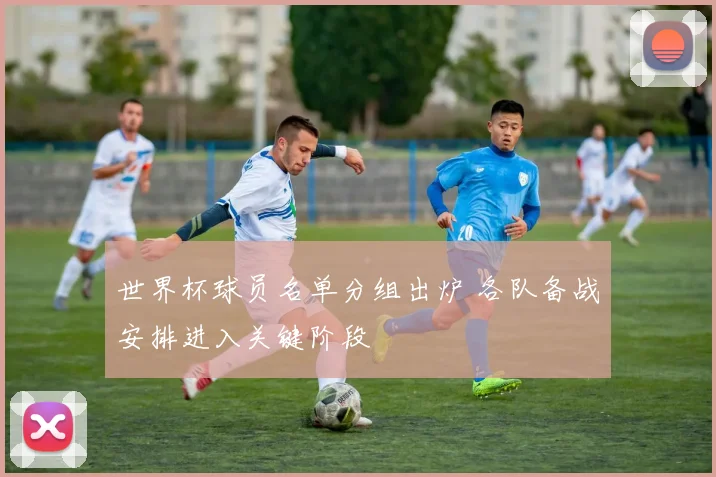世界杯球员名单分组出炉 各队备战安排进入关键阶段